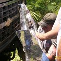 2011-Jul-09_HGR4X4_Richloam_P1 099